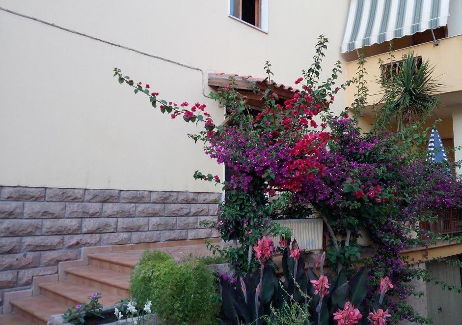 Al 32 Y 3 Bed & Breakfast Alghero Exterior foto